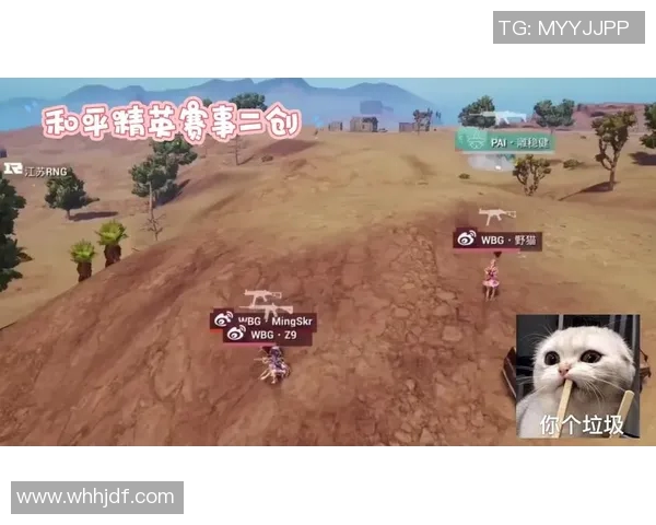 和平精英赛场热议RNG状态引发玩家广泛讨论与争议