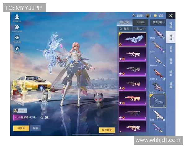 与吴芳畅谈和平精英的成长历程与职业生涯探索